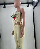 Fashionable Printed Bandeau Top and Pants Two-Piece Set MJL-XX020