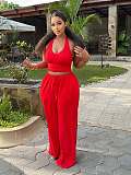 Casual Fitted Waist Halter Neck Strapless Top With Tie-Waist Wide-Leg Pants Set QZ-8179