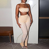 Sexy Polka Dot Print Halter Neck Backless Tank Top and Tight-Fitting Pants Two-Piece Set RS-25ST573
