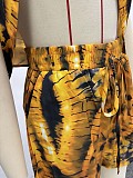 Casual Short-Sleeve Collared Printed Shirt and Shorts Two-Piece Set QZ-6586