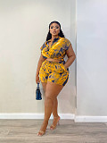 Casual Short-Sleeve Collared Printed Shirt and Shorts Two-Piece Set QZ-6586