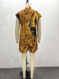Casual Short-Sleeve Collared Printed Shirt and Shorts Two-Piece Set QZ-6586