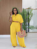 Casual Summer Collared Short Top and High-Waisted Wide-Leg Pants Set PMR-TW716