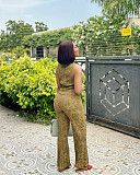 New Fashionable Sleeveless Vest Top and Wide-Leg Pants Two-Piece Set QZ-3987
