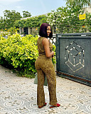 New Fashionable Sleeveless Vest Top and Wide-Leg Pants Two-Piece Set QZ-3987