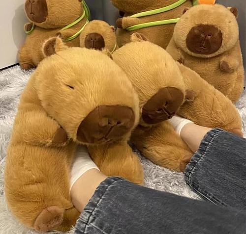 Teddy Bear Cotton Slippers Plush Kapibara Cartoon Otter Wholesale RS-20260326