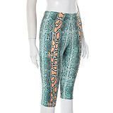Python Print Tight  Five-inch Knee Length Shorts Wholesale RS-D25PT151