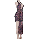 2026 Sexy Leopard Print V-Neck Halter Neck Mini Dress SUM-25484
