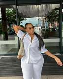 Casual Short-Sleeve Collared Shirt and Simple Wide-Leg Trousers Two-Piece Set QZ-5363