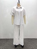 Casual Short-Sleeve Collared Shirt and Simple Wide-Leg Trousers Two-Piece Set QZ-5363