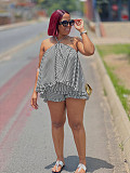 Elegant Fashion Loose Halter Neckline Sleeveless Striped Suit NY-3873