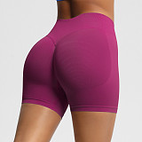 Women's Fitness Shorts High Waist Hip Lifting Sports Shorts Tight Quick Dry Yoga Shorts