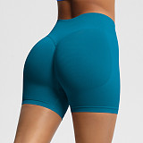 Women's Fitness Shorts High Waist Hip Lifting Sports Shorts Tight Quick Dry Yoga Shorts