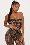 Sexy Leopard Print Strapless Bodycon Two-Piece Set (with breast pads) SHD-9976