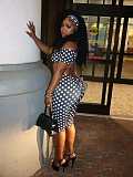 Summer New Polka Dot Print Elastic Slim Fit Strapless Top and Shorts Set MEM-88692