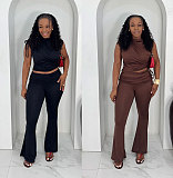 Sleeveless Pleated Elastic Tight Pants Two Pieces NY-3890