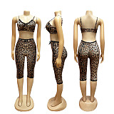 Fashionable Leopard-Print Sexy Bra and Lace Cropped Shorts Set RS-TW842