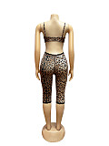 Fashionable Leopard-Print Sexy Bra and Lace Cropped Shorts Set RS-TW842