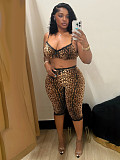 Fashionable Leopard-Print Sexy Bra and Lace Cropped Shorts Set RS-TW842