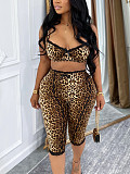 Fashionable Leopard-Print Sexy Bra and Lace Cropped Shorts Set RS-TW842