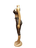 Fashionable Leopard-Print Sexy Bra and Lace Cropped Shorts Set RS-TW842