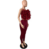 2026 Turkey Feather V-neck One-Side Backless Elastic Long Pants Set YNS-8025