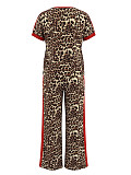 Casual Leopard Print & Contrast Color Two-Piece Set Short-Sleeve Top and Wide-Leg Pants HANI-TY031