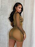 Sexy Printed Mesh Sheer Bodycon Mini Dress With Long Sleeves and Hip-Hugging Fit XS-26L2343