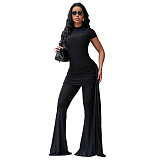 Stylish Solid-Color High-Neck Ruched Slim-Fit Dress Top and Flared Pants Set YF-11026