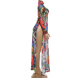 Plant Print Long Sleeved High Collar Side Split Maxi Dress DLS-K6L00286A