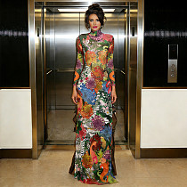 Plant Print Long Sleeved High Collar Side Split Maxi Dress DLS-K6L00286A