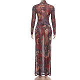 Retro Print Neck High Slit Long Sleeve Maxi Dress DLS-K6L00281A