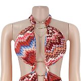Fashion Women's Casual Printed Sleeveless Ripple Summer Long Dress BY-7727