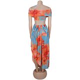 Fashionable Women's Sexy Exquisite Beach Print Dress BY-7731