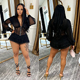 Sexy V-neck Sheer Long Sleeve Net Mini Dress BY-7685