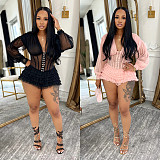 Sexy V-neck Sheer Long Sleeve Net Mini Dress BY-7685
