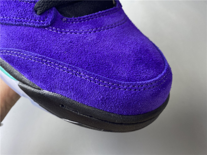 Air Jordan 5 Retro Alternate Grape  136027-500