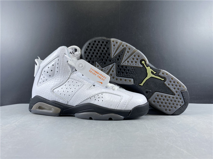 Air Jordan 6 Retro Alligator  384665-110