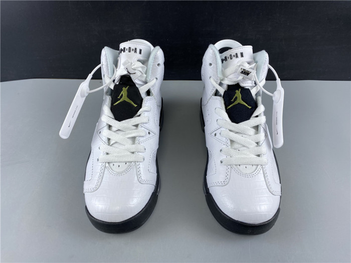 Air Jordan 6 Retro Alligator  384665-110
