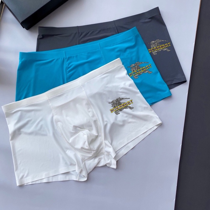 Underpants Top 3 Pieces