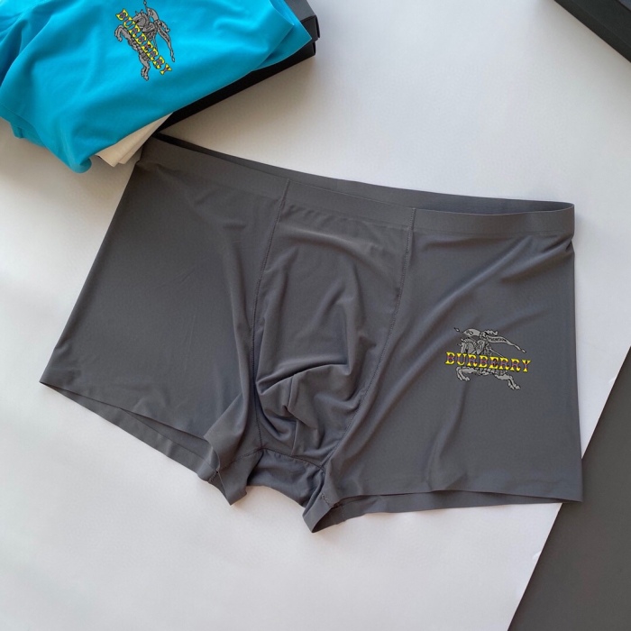 Underpants Top 3 Pieces