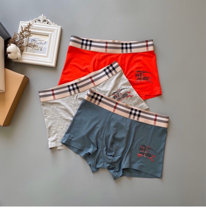Underpants Top 3 Pieces