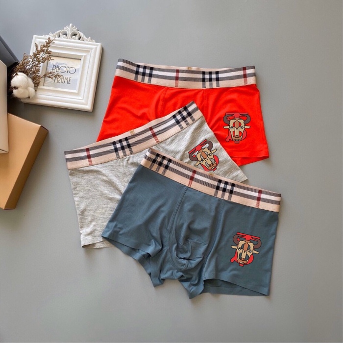 Underpants Top 3 Pieces