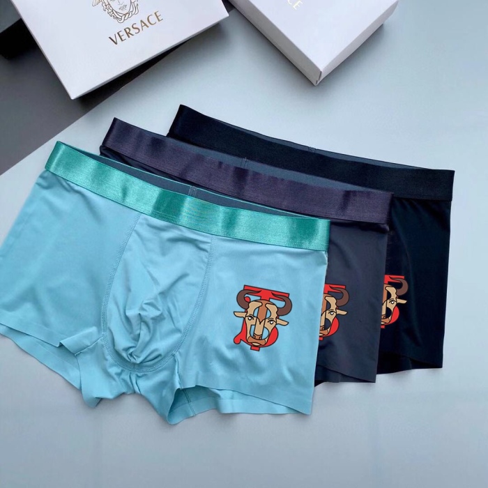 Underpants Top 3 Pieces