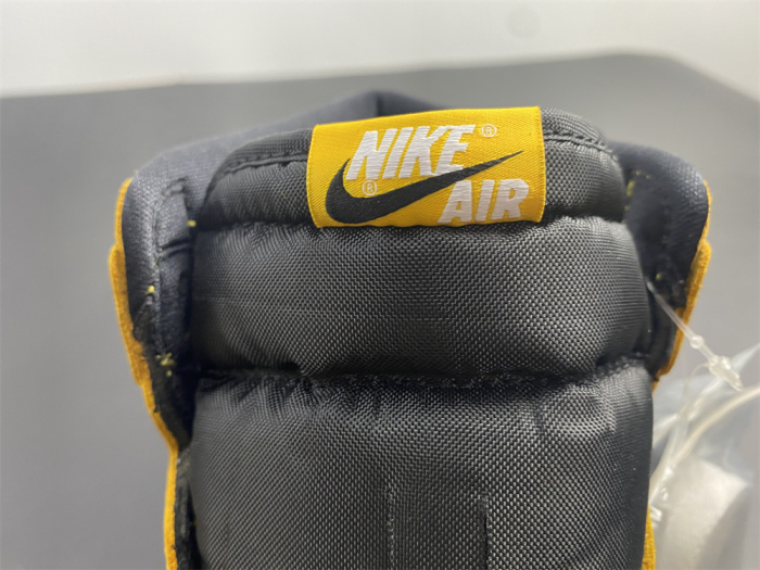 Air Jordan 1 Retro High Pollen 555088-701