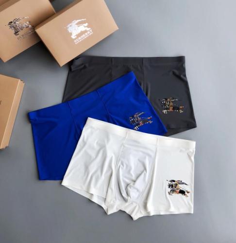Underpants Top 3 Pieces