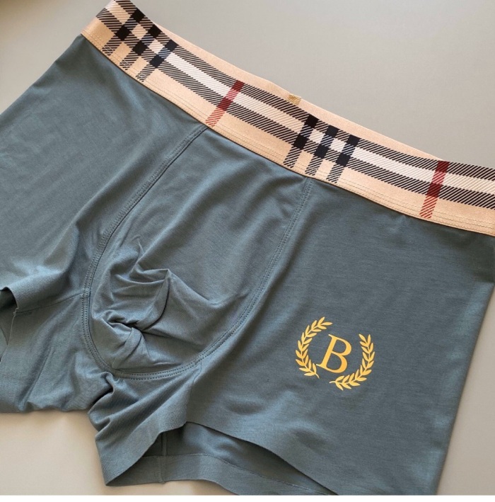 Underpants Top 3 Pieces