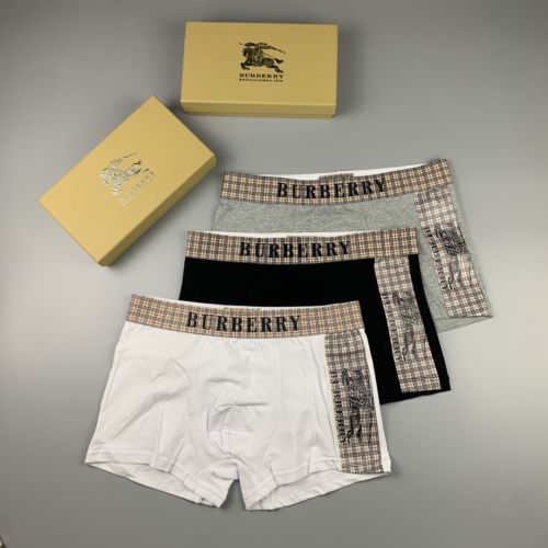 Underpants Top 3 Pieces