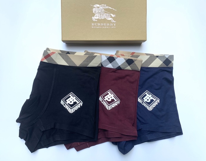 Underpants Top 3 Pieces
