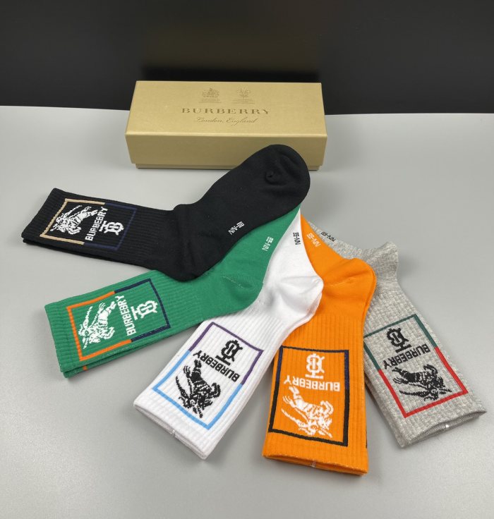 Socks 5 pairs